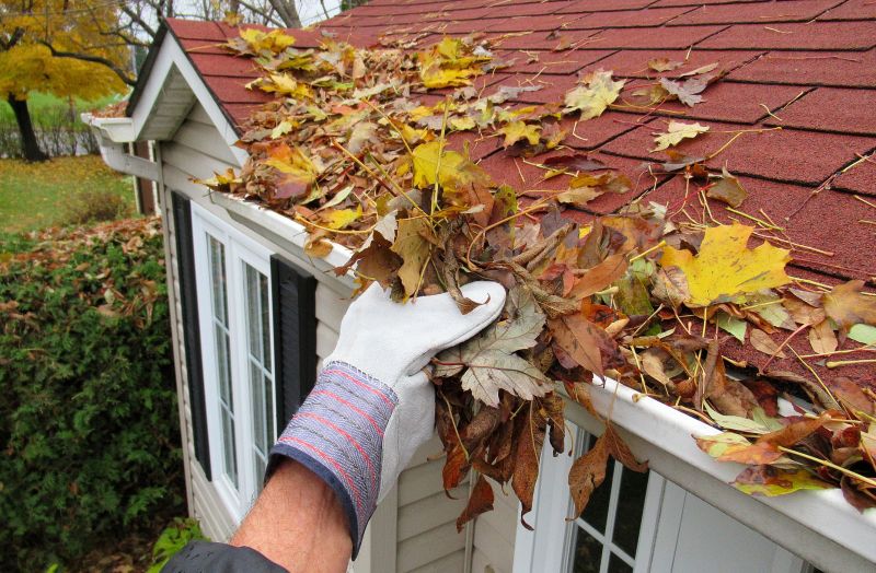 Roof Gutter Cleaning in Morris County, NJ