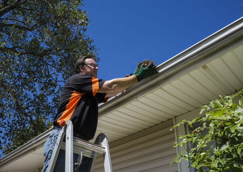 Clogged Gutter Clearing in Monmouth County, NJ