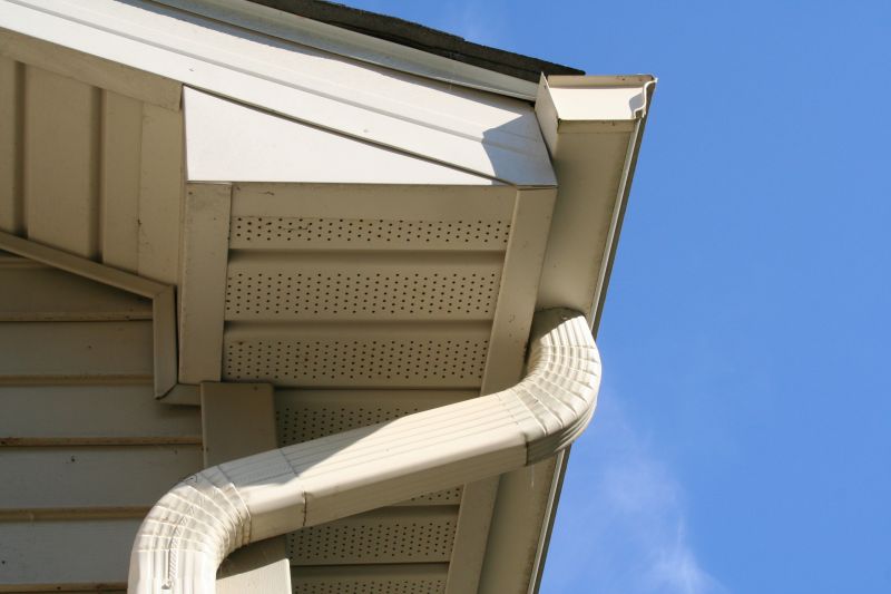 Downspout Blockage Removal in Longmont, CO