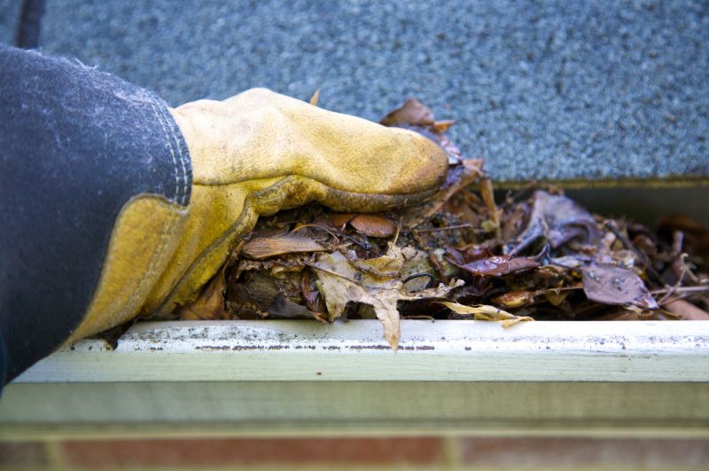 Gutter Blockage Removal in Boulder, CO