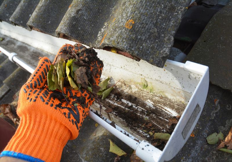 Gutter Cleaning in Fredericksburg, VA
