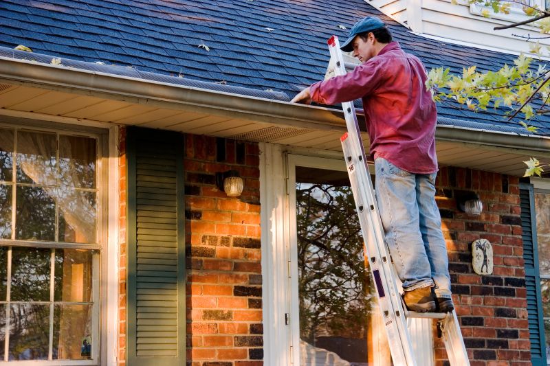 Gutter Cleaning in Richmond, VA