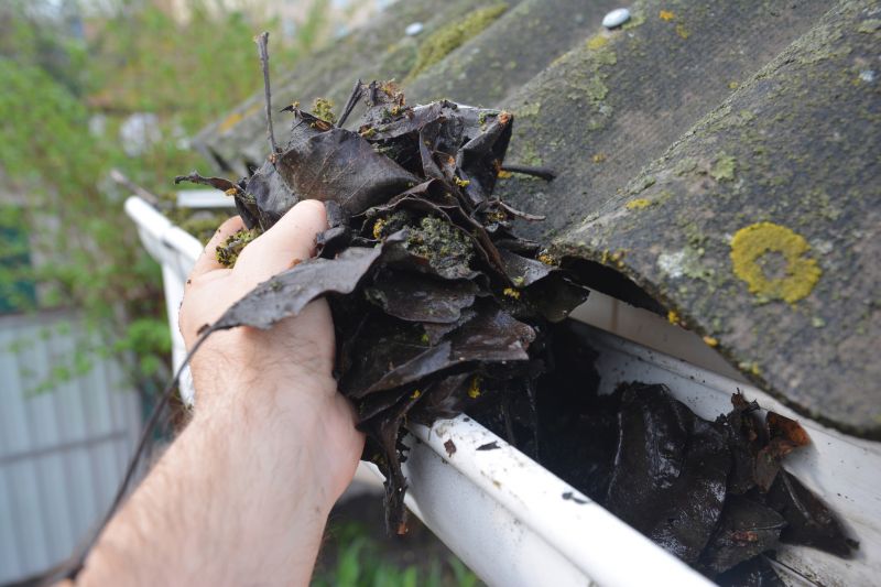 Gutter Cleaning in Arvada, CO