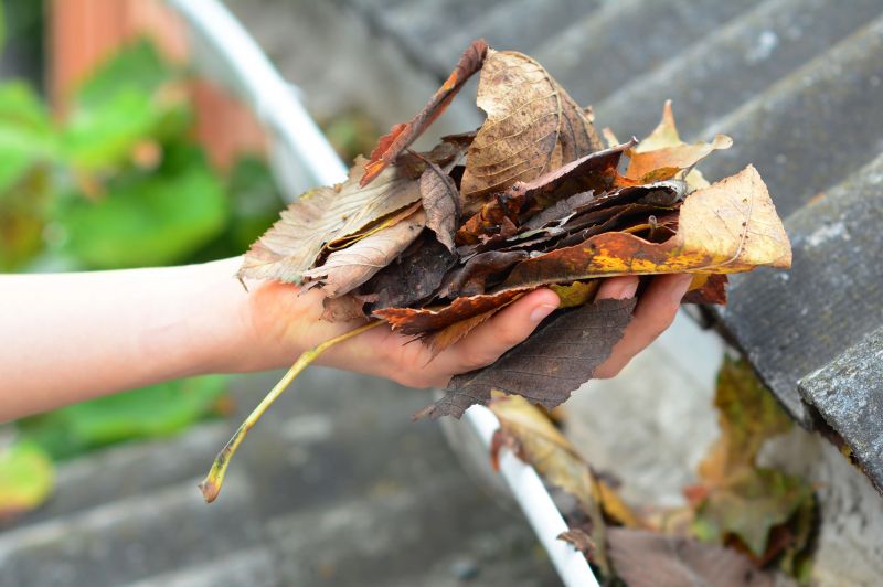 Gutter Leaf Clearing in Frederick, MD