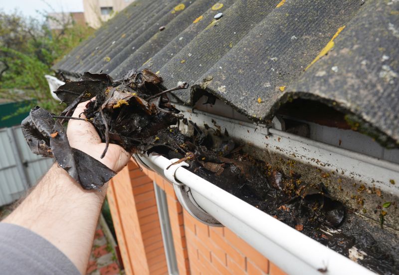 Gutter Leaf Clearing in Longmont, CO