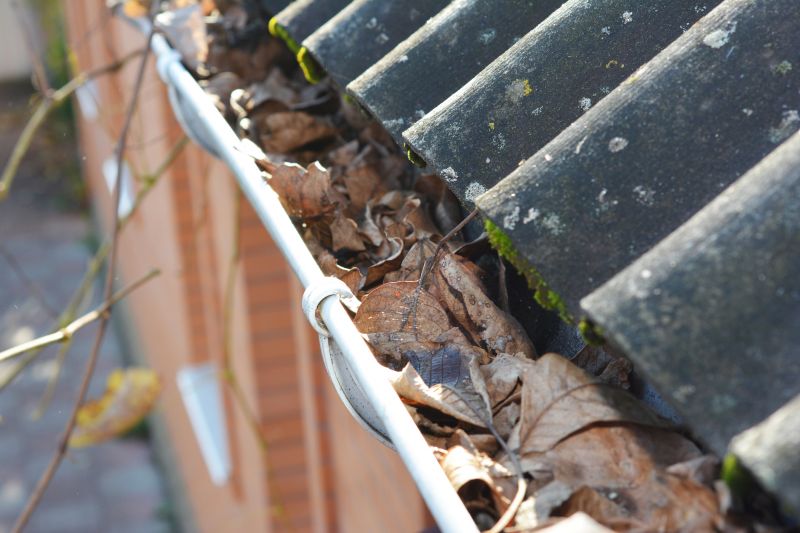 Gutter Leaf Clearing in Boulder, CO