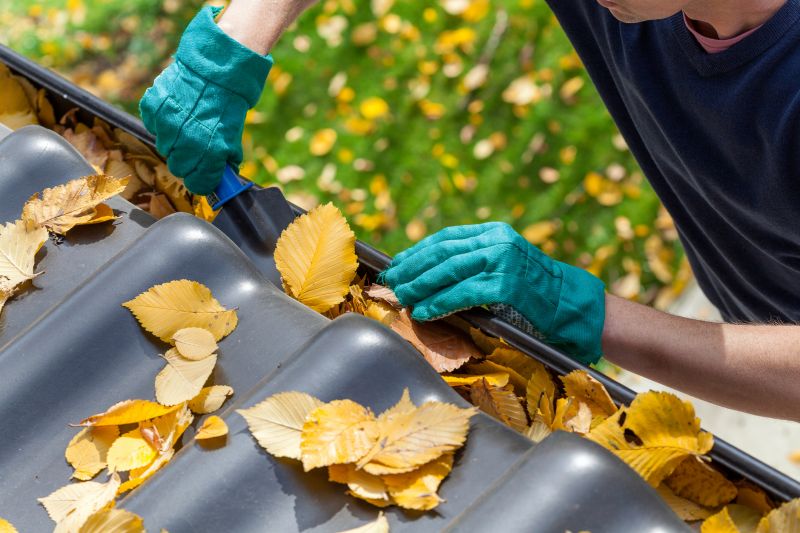 Gutter Leaf Clearing in Westchester County, NY