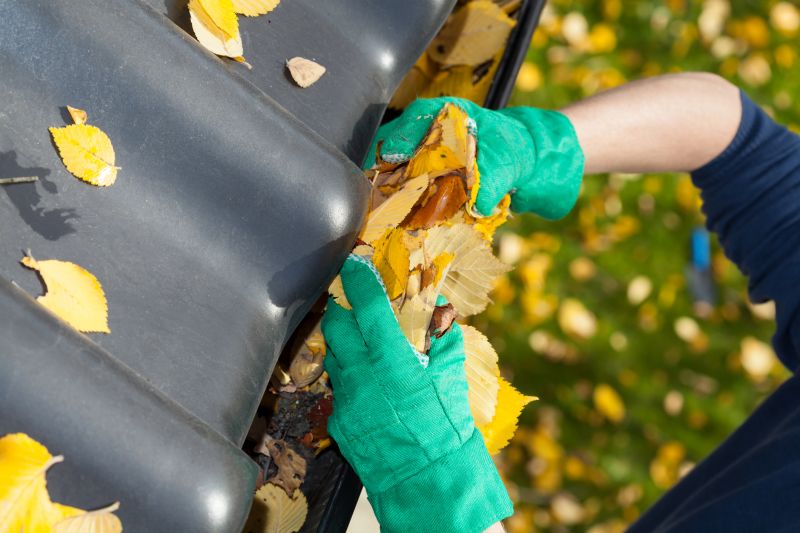 Gutter Leaves Removal in Annapolis, MD