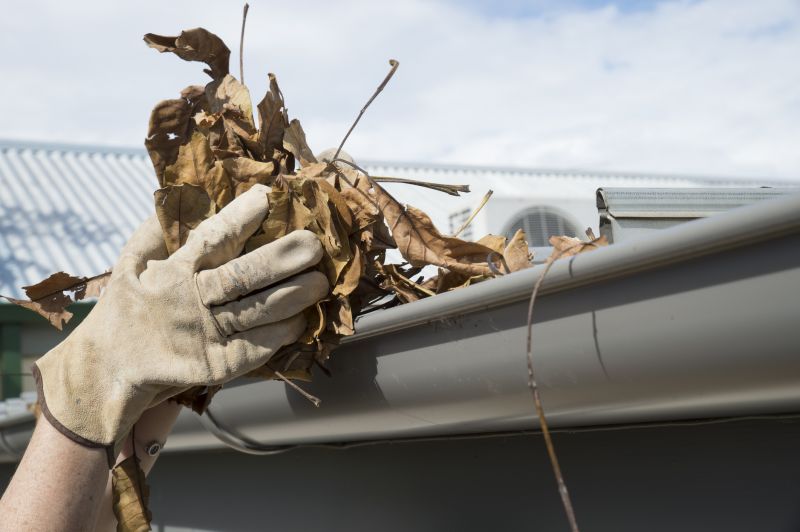 Gutter Pine Needle Removal in Morris County, NJ