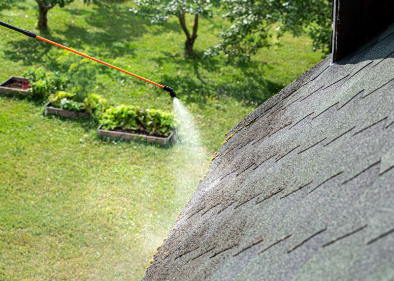 Roof Fungus Removal in Vancouver, WA