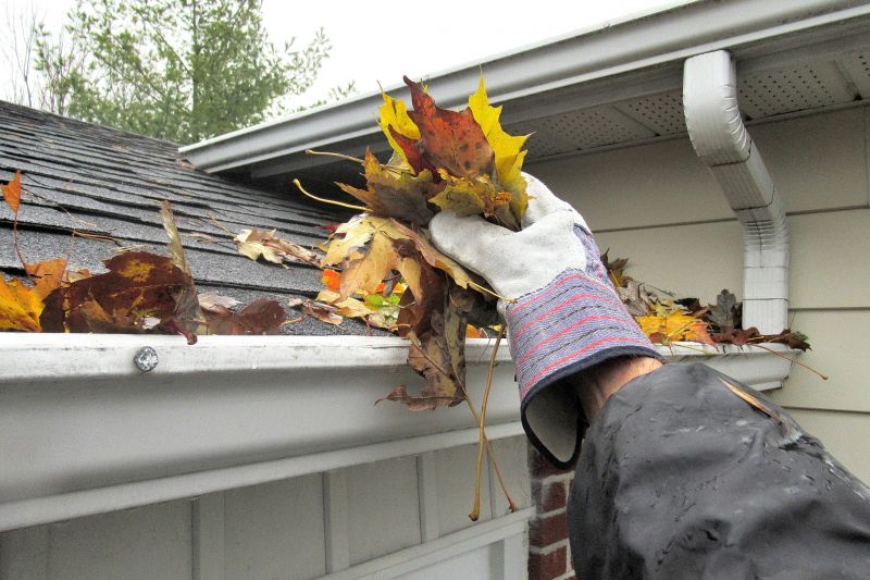 Roof Gutter Cleaning in Bergen County, NJ