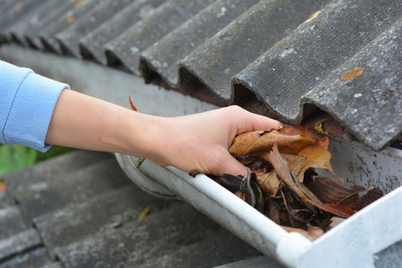 Roof Gutter Cleaning in Monmouth County, NJ