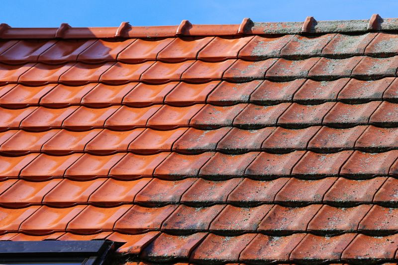 Roof Mildew Cleaning in Vancouver, WA