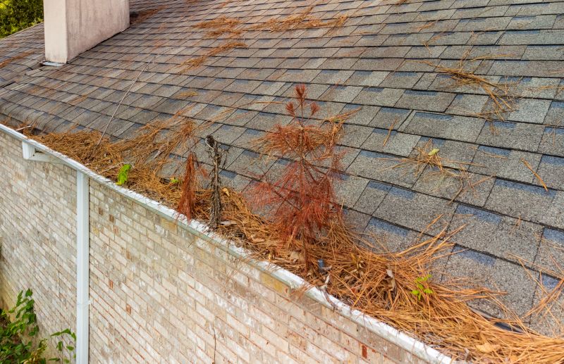 Roof Pine Needles Removal in Vancouver, WA