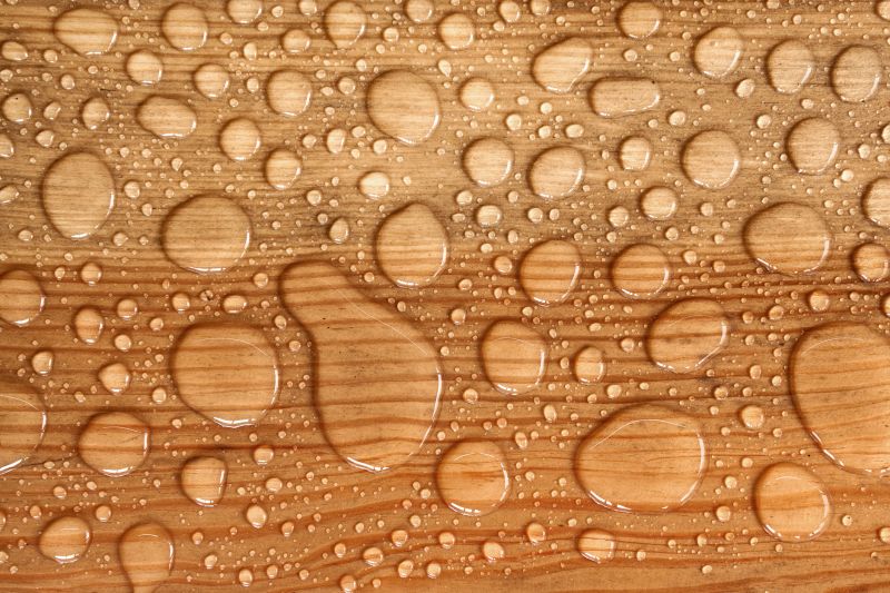Wood Waterproofing in Seattle, WA